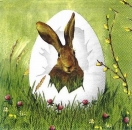 s8301 - Easter Outlook - white - Servietten - Packung - 20 Stück