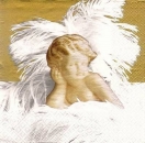 s8407 - Angelico - gold - Napkins - Package - 20 pcs.