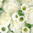 s8479 - Kamelien - weiß - Napkins - Package - 20 pcs..