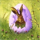 s8601 - Easter Outlook - lilac - Servietten - Packung - 20 Stück