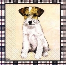 s8672 – My Dogs – Hunde – Servietten – 33 x 33 cm - Packung – 20 Stück