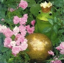 s8689 - Frog Prince with Rose - Servietten - Packung - 20 Stück