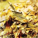 s8798 - Autumn Garden Works - Servietten - Packung - 20 Stück