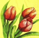 s8841 - Tulpen - Servietten - Packung - 40 Stück