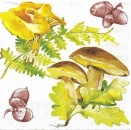 s8858 – Herbst – Pilze – Servietten – 33 x 33 cm - Packung – 20 Stück