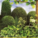 s8955 - Buxus - Servietten - Packung - 20 Stück
