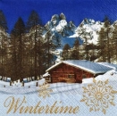 s9215 - Wintertime - Servietten von STEWO - Packung - 20 Stück