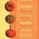 s9359 - Herbst - Servietten - Packung - 40 Stück