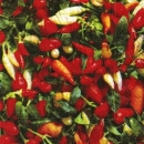 s9391 - Paprika-Mix - Servietten - Packung - 20 Stück