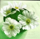 s9613 - Weiße Blüten – grün - Napkins - Package - 20 pcs.