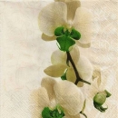 s9646 - Noblesse – grün - Napkins - Package - 20 pcs..