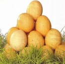 s9839 - Egg Tower - Servietten - Packung - 20 Stück