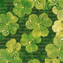 s9886 - Felissimo - Napkins - Package - 20 pcs.