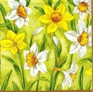 s9918 - Narcissius - green - Napkins - Package - 20 pcs..