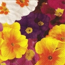 s9920 - Primrose - Servietten - Packung - 20 Stück