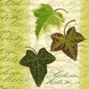 s9955 – Efeu – Servietten – 33 x 33 cm - Packung – 20 Stück