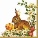 s9z10059 - Osterhase mit Eiern - Servietten - Packung - 20 Stück