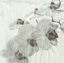 s9z10204 - Orchidee - grau - Servietten - Packung  - 20 Stück