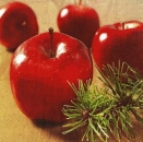 s9z10267 - Red Apples - Servietten - Packung - 20 Stück