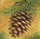 s9z10511 - Fir Cone - Napkins - Package - 20 pcs.
