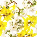 s9z10583 - With Forsythia - Servietten - Packung - 20 Stück