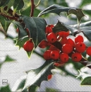 s9z10784 - Ilex Foto - Servietten - Packung - 20 Stück