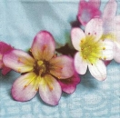 s9z10833 - Blue Summer - Serviette - Packung - 20 Stück