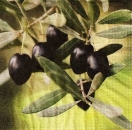 s9z10855 - Oliven - Napkins - Package - 20 pcs.