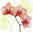 s9z10965 - Orchid - green – Servietten – Packung  20 Stück