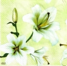s9z10969 – Blumen – weiße Lilie – Servietten – Packung – 20 Stück