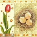 s9z10987 - Frohe Ostern - Servietten - Packung - 20 Stück