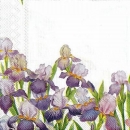 s9z11006 - Belleamie - green - Servietten - Packung - 20 Stück