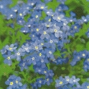 s9z11061 - Remember Me - Servietten - Packung - 20 Stück