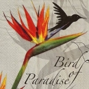 s9z11180 - Bird of Paradise - black - Servietten - Packung - 20 Stück