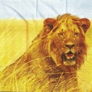 s9z11430 - Lion - Napkins - Package - 20 pcs..