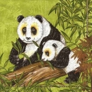 s9z11621 - Panda - Servietten - Packung - 20 Stück