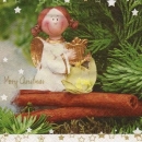 s9z11703 - Angel with Harp - Servietten - Packung - 20 Stück