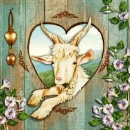 s9z11739 - Almengruss -  - Napkins - Package - 20 pcs.
