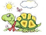 Decal - Schildkröte mit Sonne - 6 cm