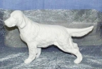 Hund - Setter – 14 x 20 cm - Schrühware